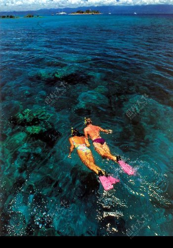 大堡礁潜水图片