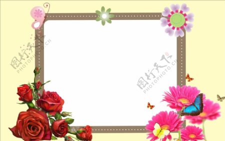 玫瑰花朵相框图片