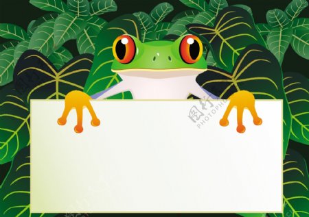 卡通青蛙公告栏模板图片