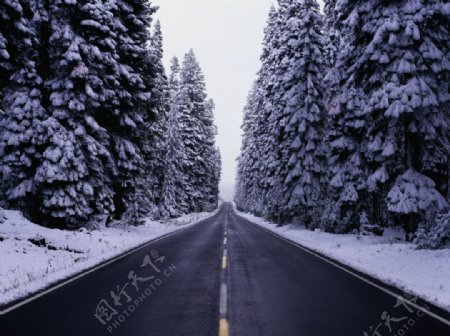 公路下雪道路图片
