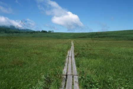 乡间小路图片