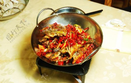 干锅黄古鱼图片