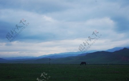 桑科草原风景图片
