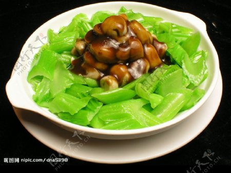 香菇菜梗砂锅图片