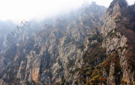 临夏太子山风光图片