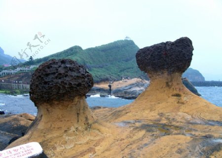 台湾野柳地质公园图片