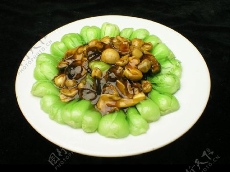 双菇油菜图片