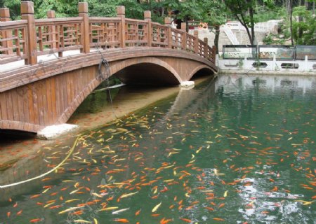 木桥水池图片