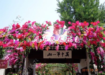 旅游景区花卉装饰图片