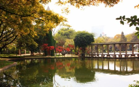 翠湖公园图片