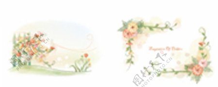 韩国抽象菊花边图片