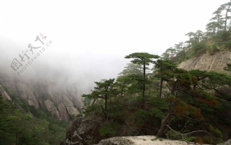 黄山风景图片