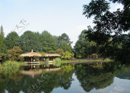 太子湖公园图片
