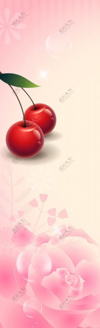 樱桃花语图片