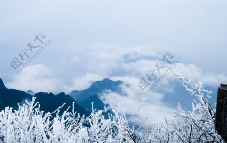 初冬的峨眉山图片