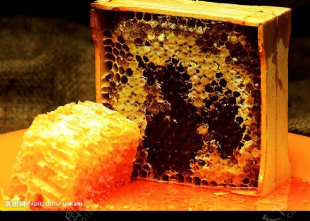 蜂巢和蜂箱图片