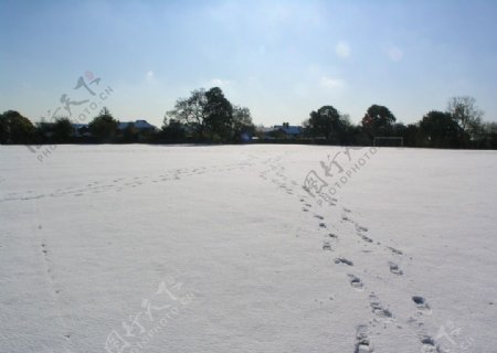 雪地脚印图片