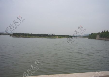 温州三垟湿地水景图片