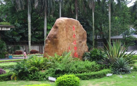 华南植物园图片