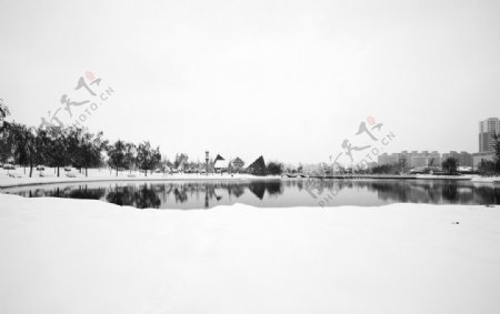 黑白雪景之宁静的湖图片