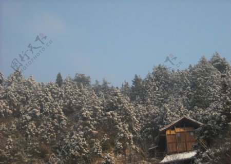 雪景图片