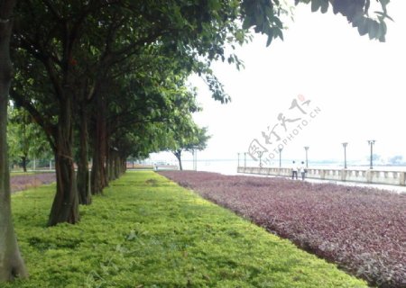 珠江江景图片