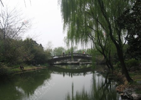 南京情侣园图片