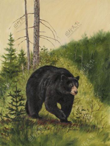 油画之黑熊图片
