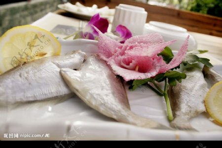 韩国烤马面鱼图片
