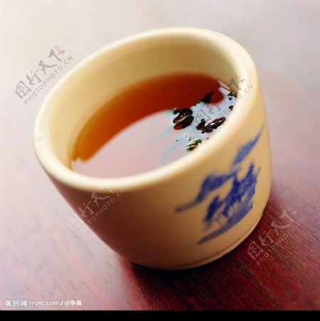 茶茶图片