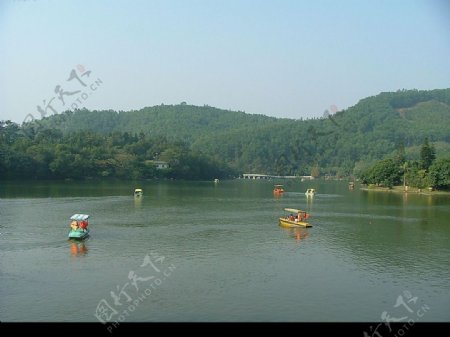深圳仙湖风光图片