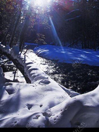 雪后阳光图片