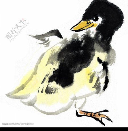 水墨风格的鸭子图片