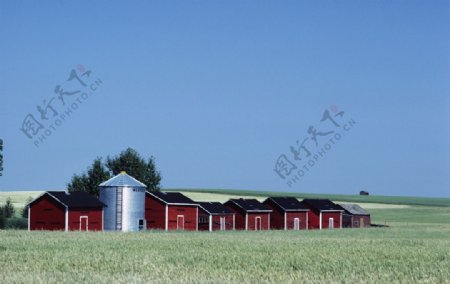 农场小屋图片