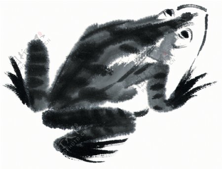水墨风格的青蛙图片