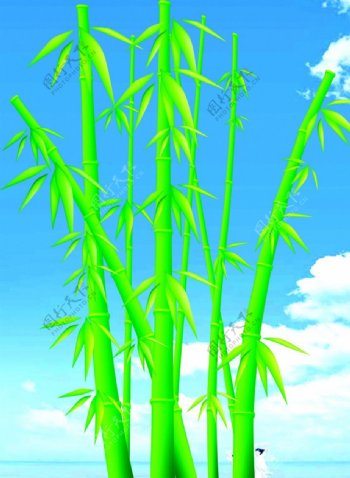 端午节竹子图片