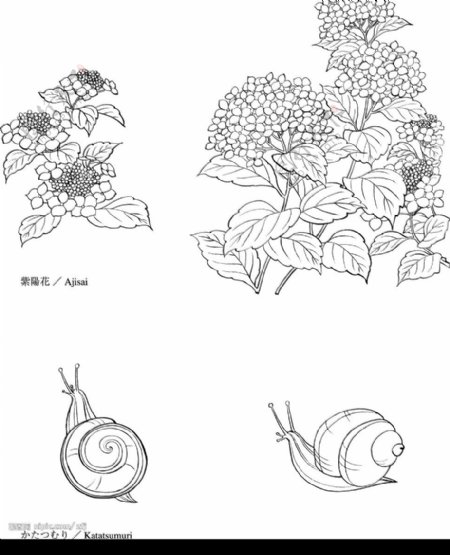 日本矢量素材花草动物图片