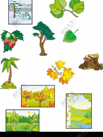 矢量树木及树叶图片