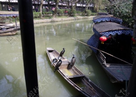 镜头下的乌蓬船图片