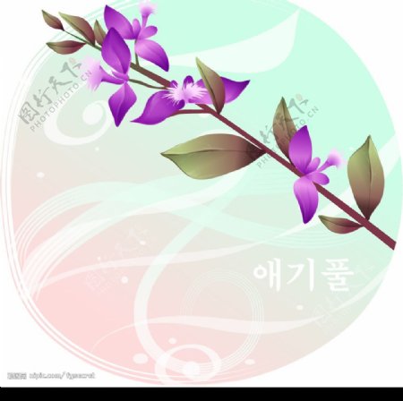 矢量花卉紫色花图片
