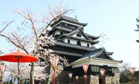 日本岛根江户时代城堡松江城图片