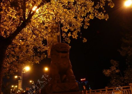 泉都桥头夜景图片