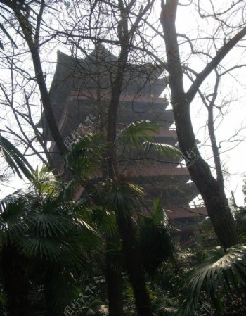 寺庙塔图片