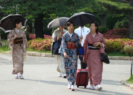 穿和服的日本妇人图片