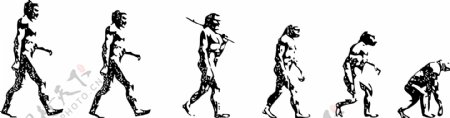 人类进化图图片