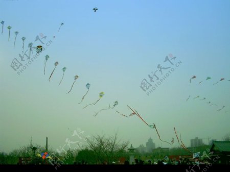 雁塔广场前的风筝满天飞图片