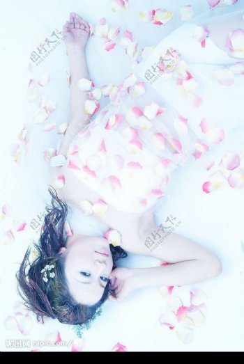 美女躺在花海里图片