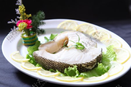 青海鳕鱼图片