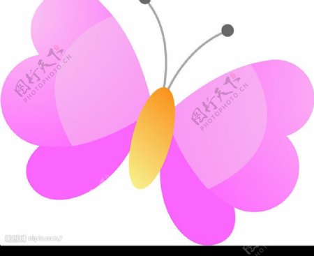 粉色蝴蝶图片