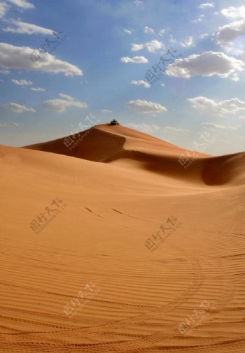 沙漠雄風图片